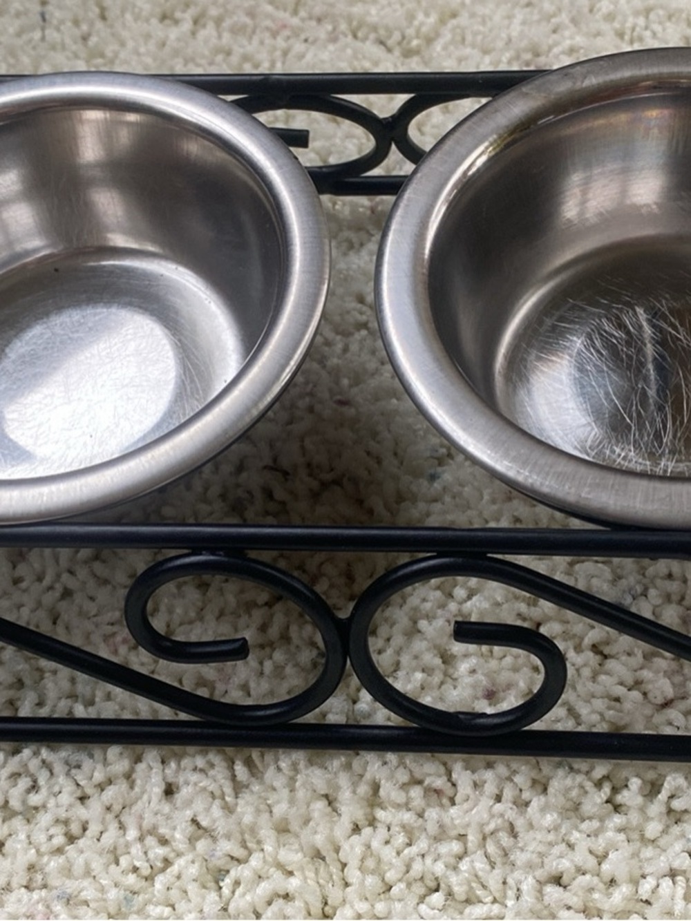 Stainless Steel Double Pet Bowl with Black Scroll Stand